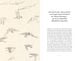 Thumbnail-8