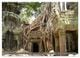 Thumbnail-10