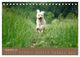 Thumbnail-11