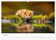 Thumbnail-8