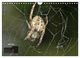 Thumbnail-10