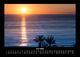 Thumbnail-10