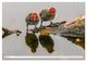Thumbnail-10