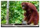 Thumbnail-10