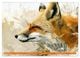 Thumbnail-10