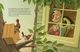 Thumbnail-2