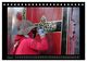 Thumbnail-13