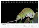 Thumbnail-9