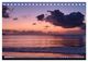 Thumbnail-14