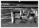 Thumbnail-14
