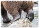 Thumbnail-11