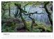 Thumbnail-13