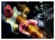 Thumbnail-9