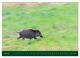 Thumbnail-10