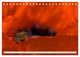 Thumbnail-9