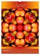 Thumbnail-14