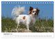 Thumbnail-14
