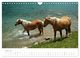 Thumbnail-9