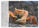 Thumbnail-9