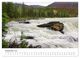 Thumbnail-14