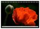 Thumbnail-14