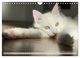Thumbnail-14