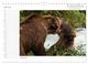 Thumbnail-8