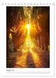Thumbnail-13