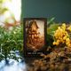 Thumbnail-4