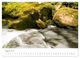 Thumbnail-13