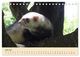 Thumbnail-11