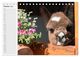Thumbnail-12