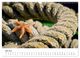 Thumbnail-11