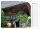 Thumbnail-13