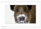 Thumbnail-14