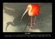 Thumbnail-10