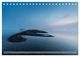 Thumbnail-14