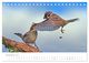 Thumbnail-14