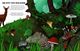 Thumbnail-10