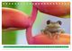 Thumbnail-14