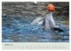 Thumbnail-12