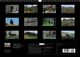 Thumbnail-13
