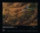 Thumbnail-10
