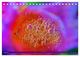 Thumbnail-11