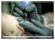 Thumbnail-13