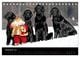 Thumbnail-14