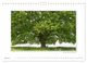 Thumbnail-11