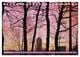 Thumbnail-13