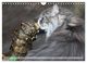 Thumbnail-11