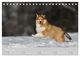 Thumbnail-13